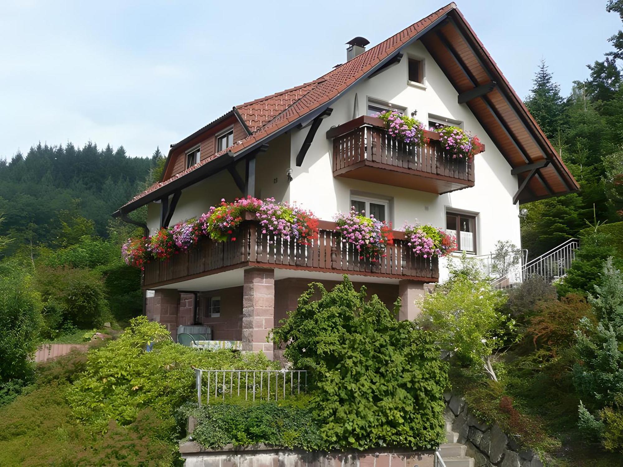 Haus Herbert Panter Bad Peterstal-Griesbach Extérieur photo
