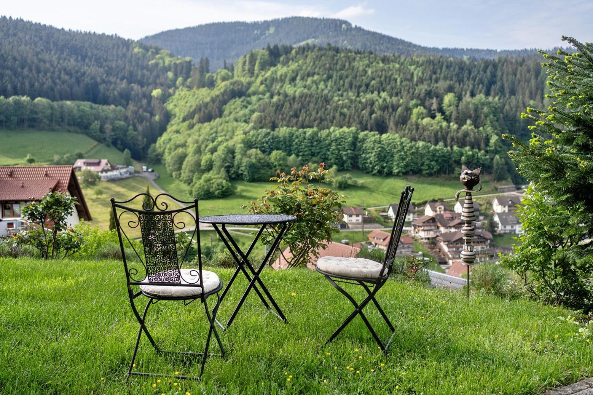 Haus Herbert Panter Bad Peterstal-Griesbach Extérieur photo